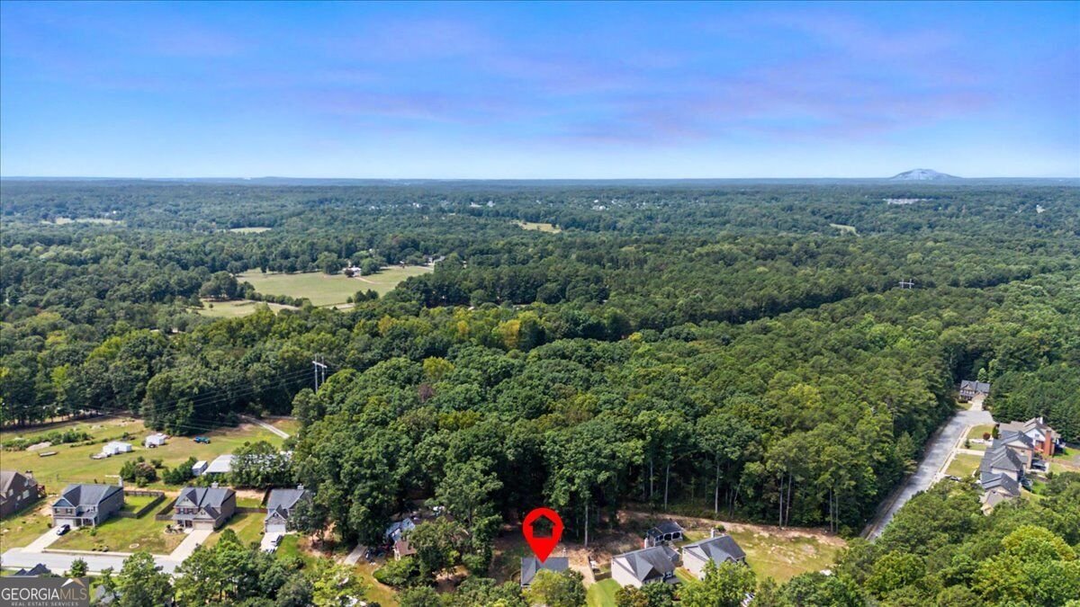 4069 Anthony Creek Drive Loganville - Photo 34