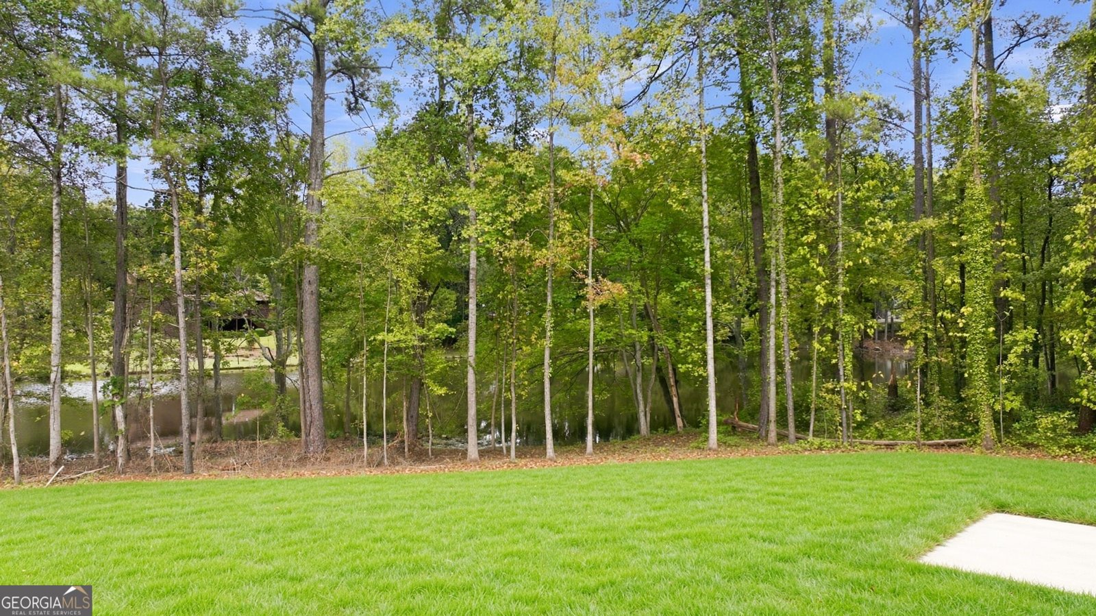3407 Lake Drive Lawrenceville - Photo 23