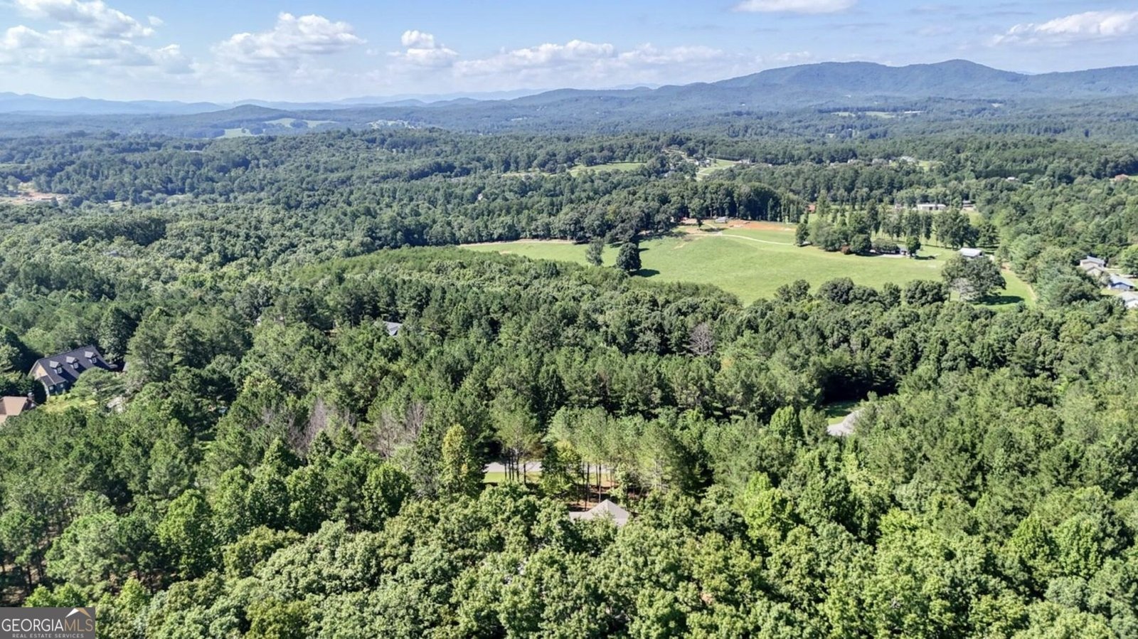 99 LOFTIS MTN TRL Blairsville - Photo 53