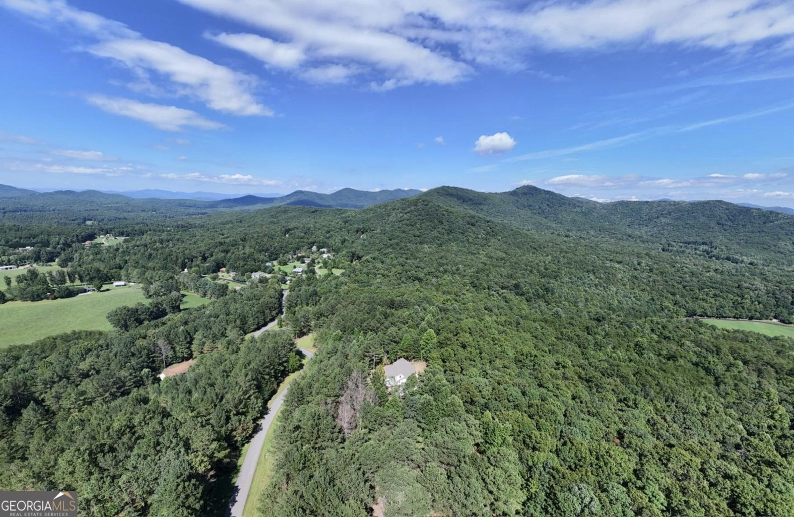 99 LOFTIS MTN TRL Blairsville - Photo 55