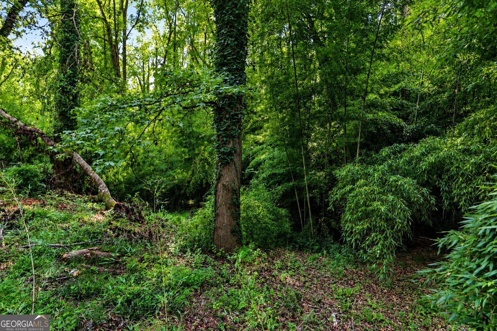 3558 Turner Heights Drive Decatur - Photo 34