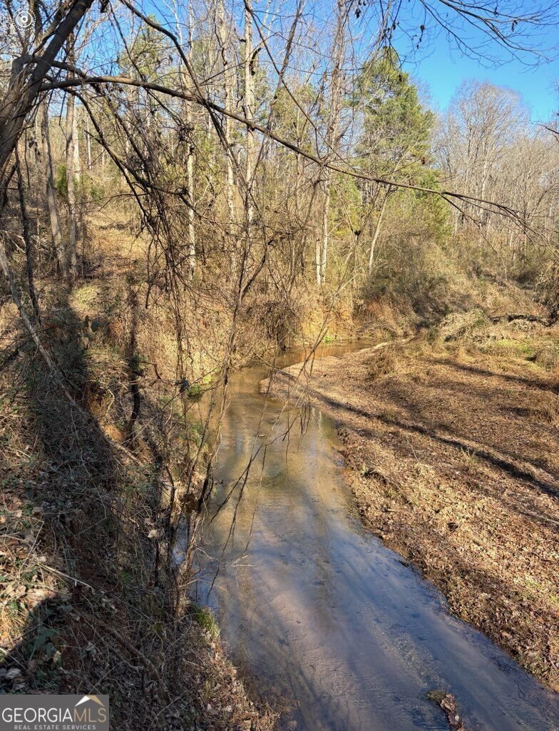 265 Griffin Road Martin - Photo 25