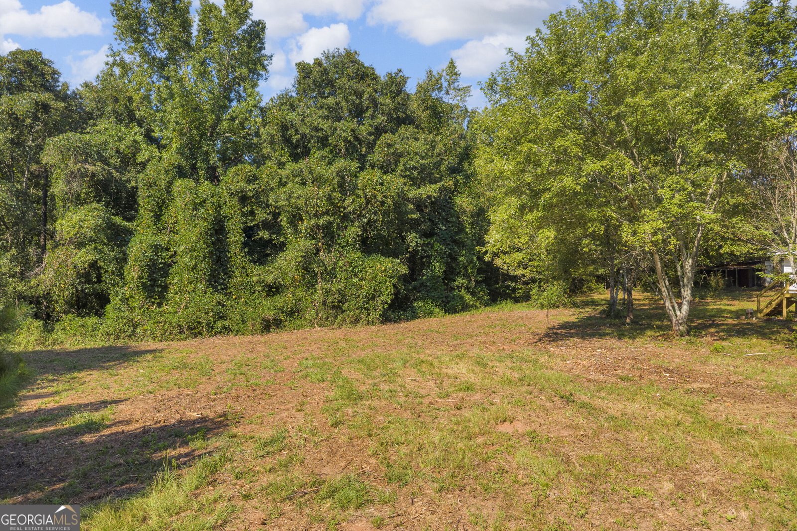 265 Griffin Road Martin - Photo 28