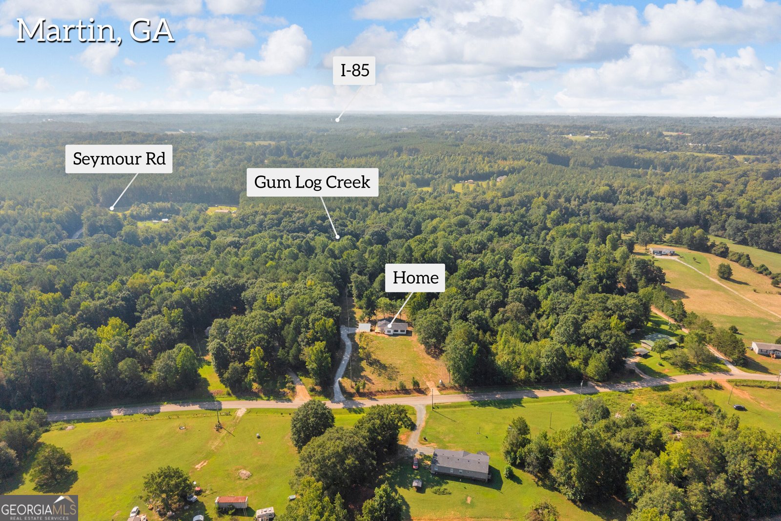 265 Griffin Road Martin - Photo 33