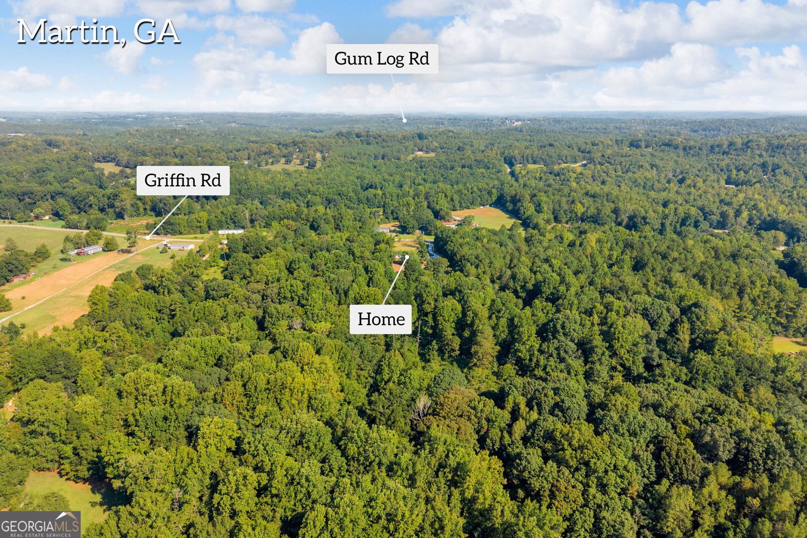 265 Griffin Road Martin - Photo 35