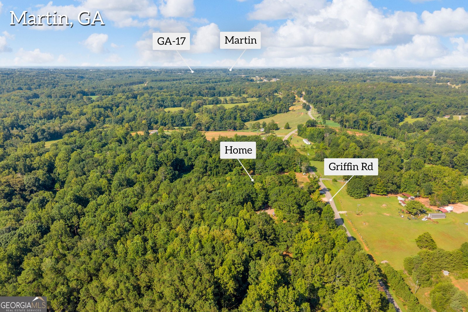 265 Griffin Road Martin - Photo 36