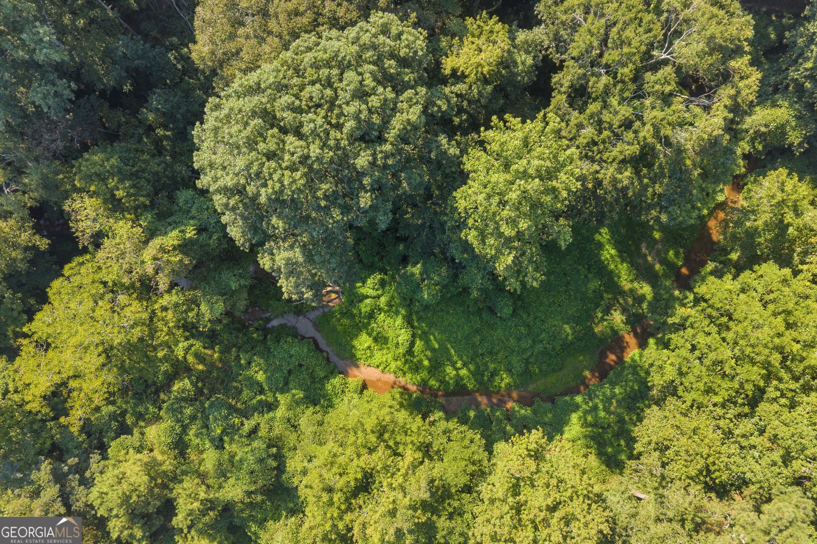 265 Griffin Road Martin - Photo 37