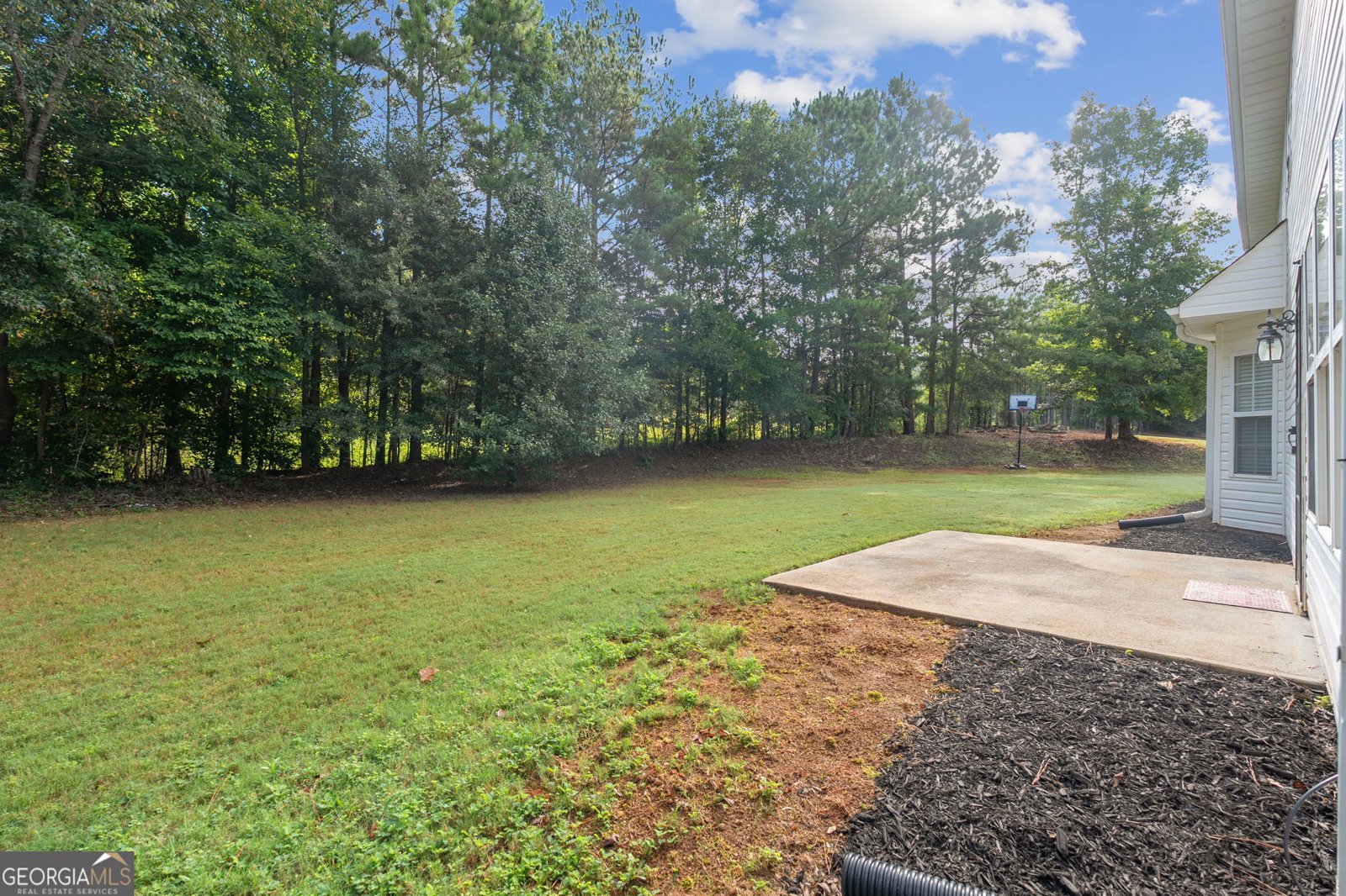 1433 Cotton Trail Conyers - Photo 37