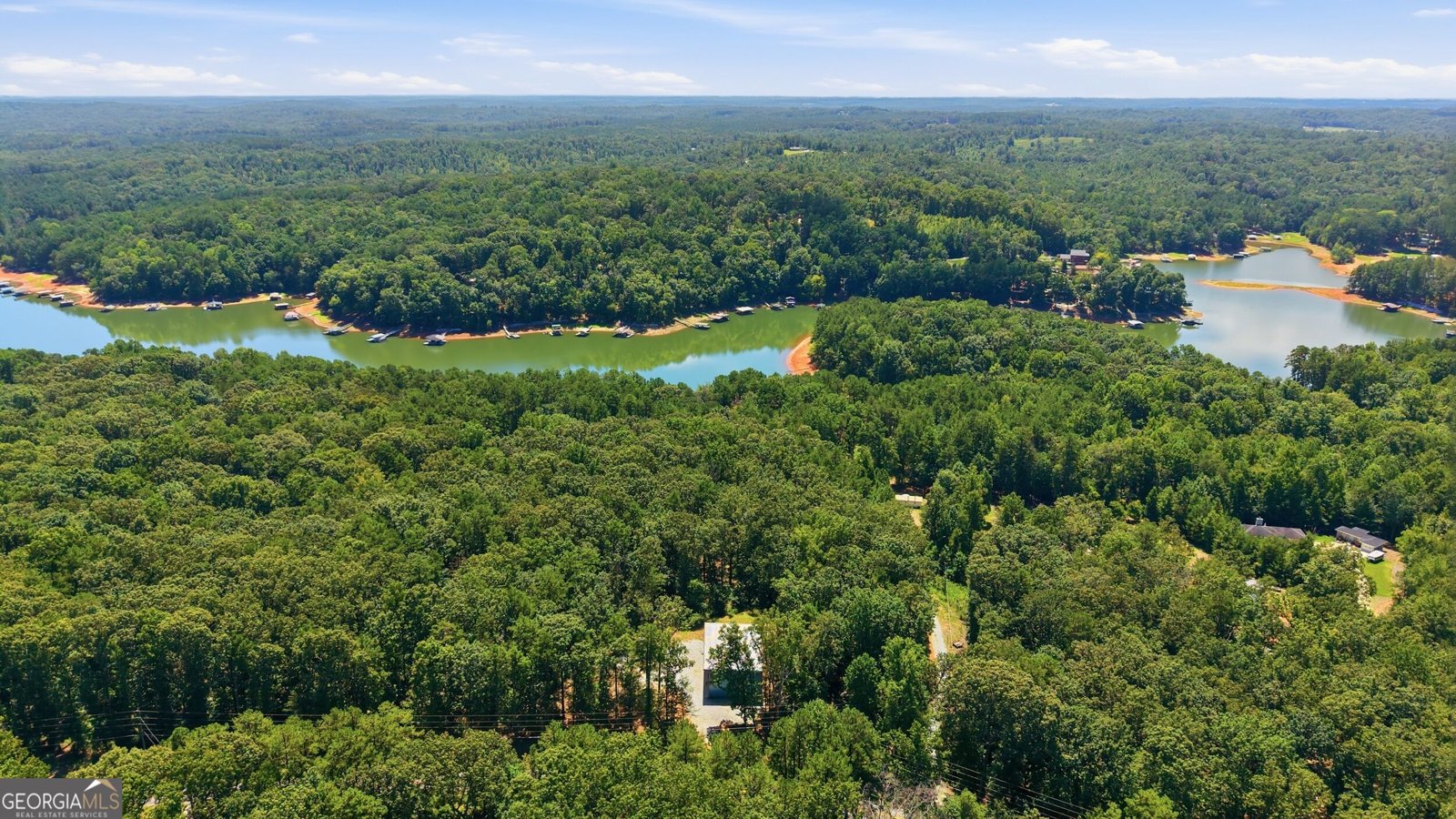 346 Currahee Ridge Road Toccoa - Photo 47