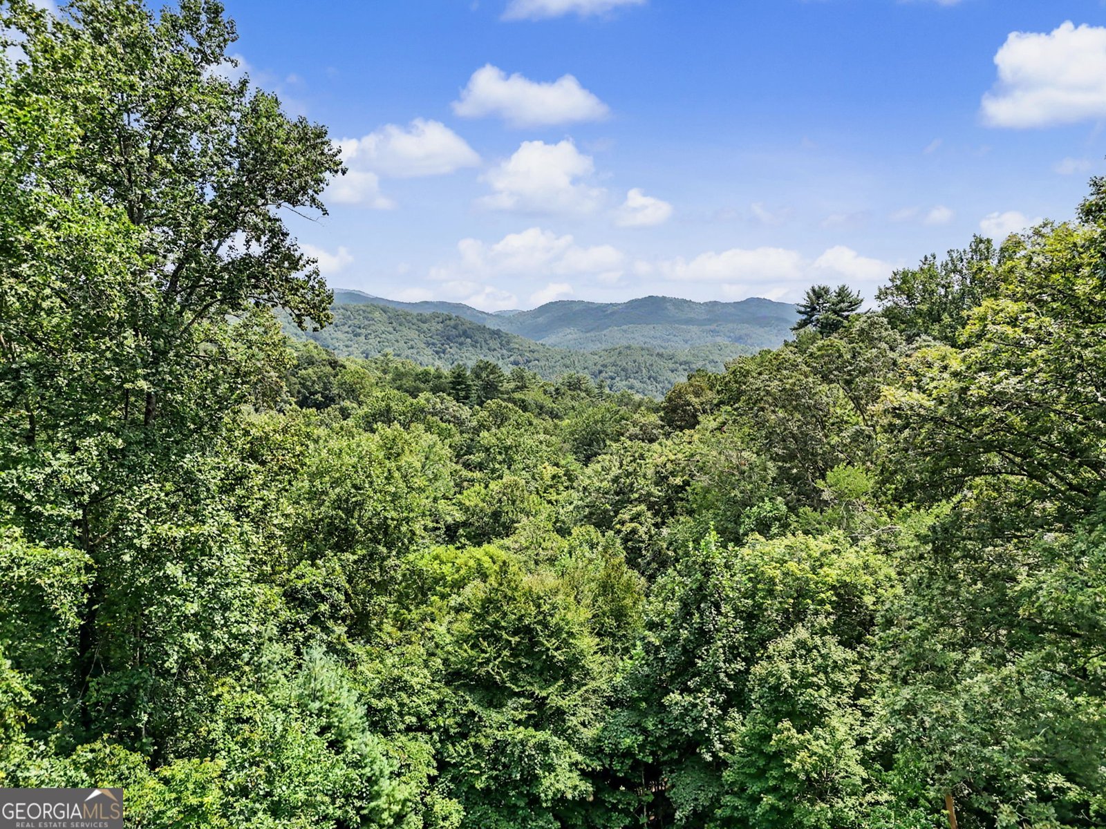 557 Fox Trot Road Clayton - Photo 110