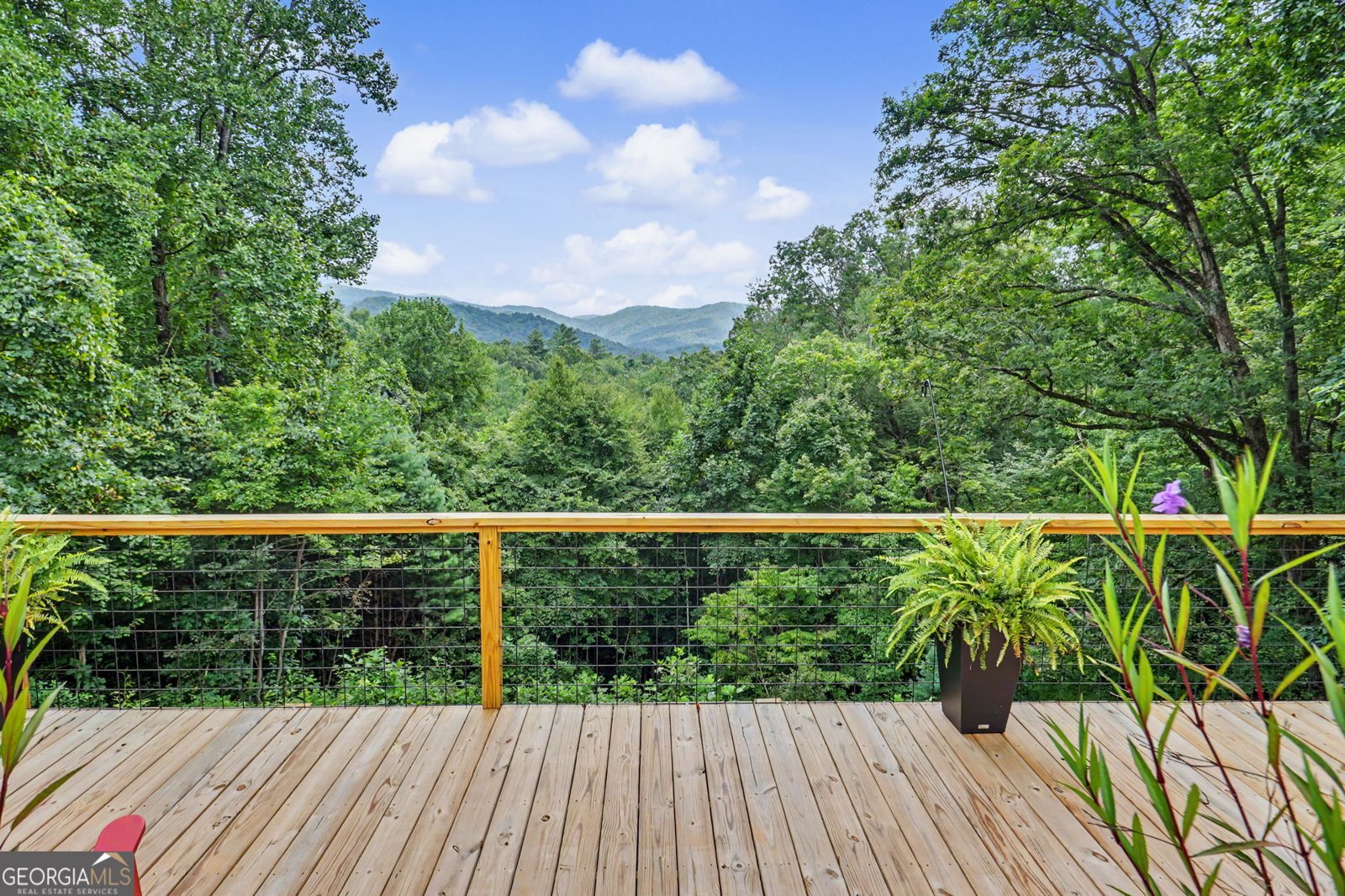 557 Fox Trot Road Clayton - Photo 66