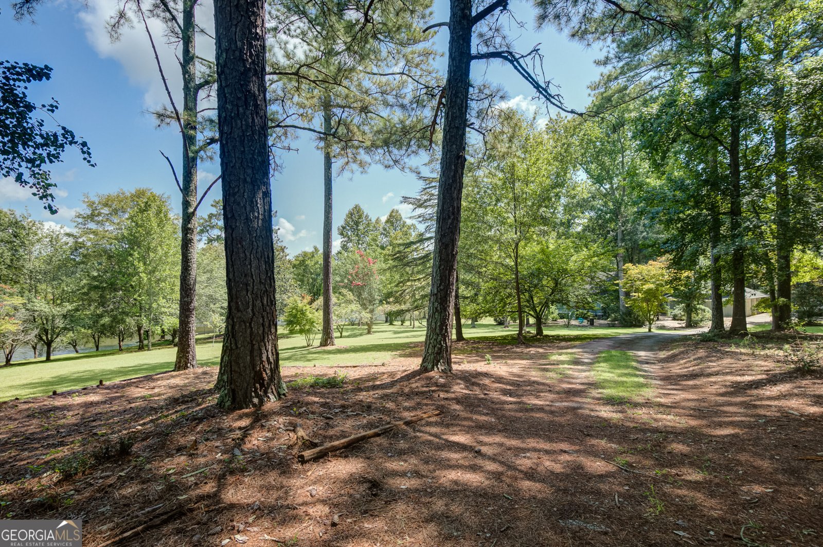 215 Wessmanor Drive Bowdon - Photo 45