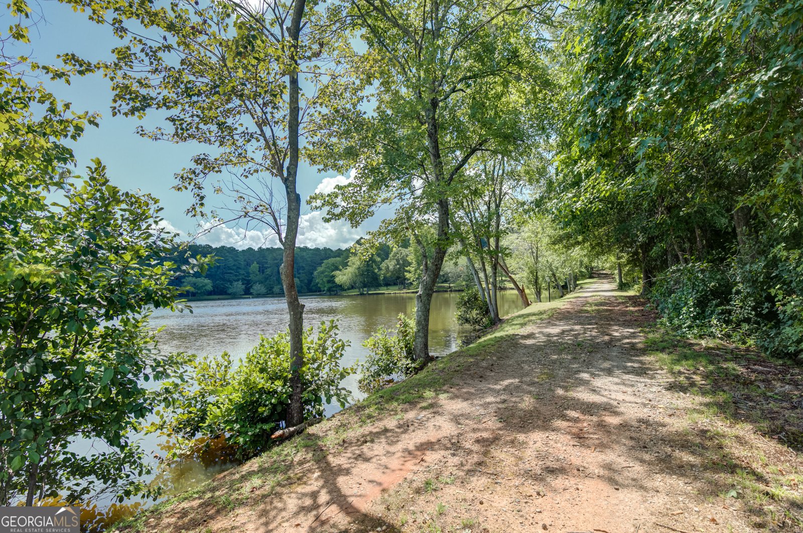 215 Wessmanor Drive Bowdon - Photo 48