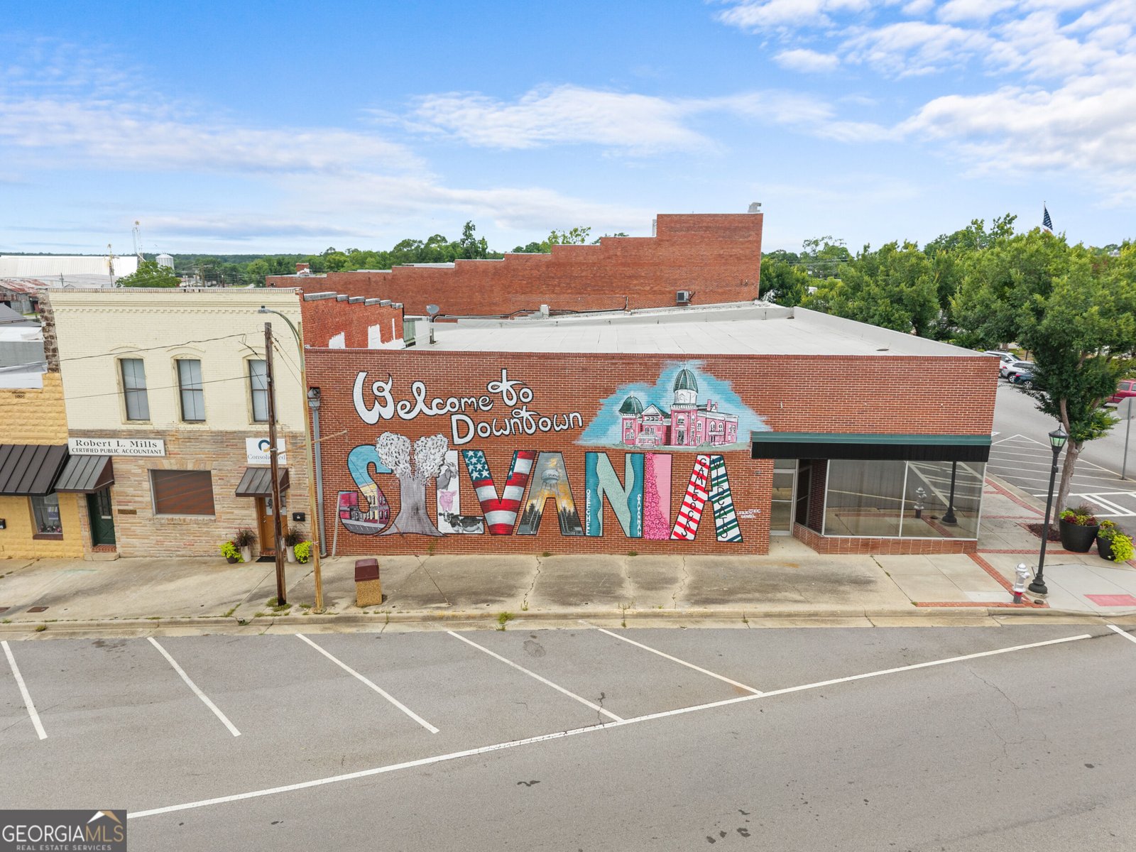 806 Main Street Sylvania - Photo 62