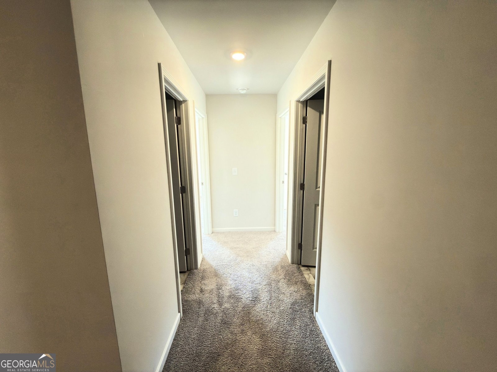 24 Berry Drive Dawsonville - Photo 31