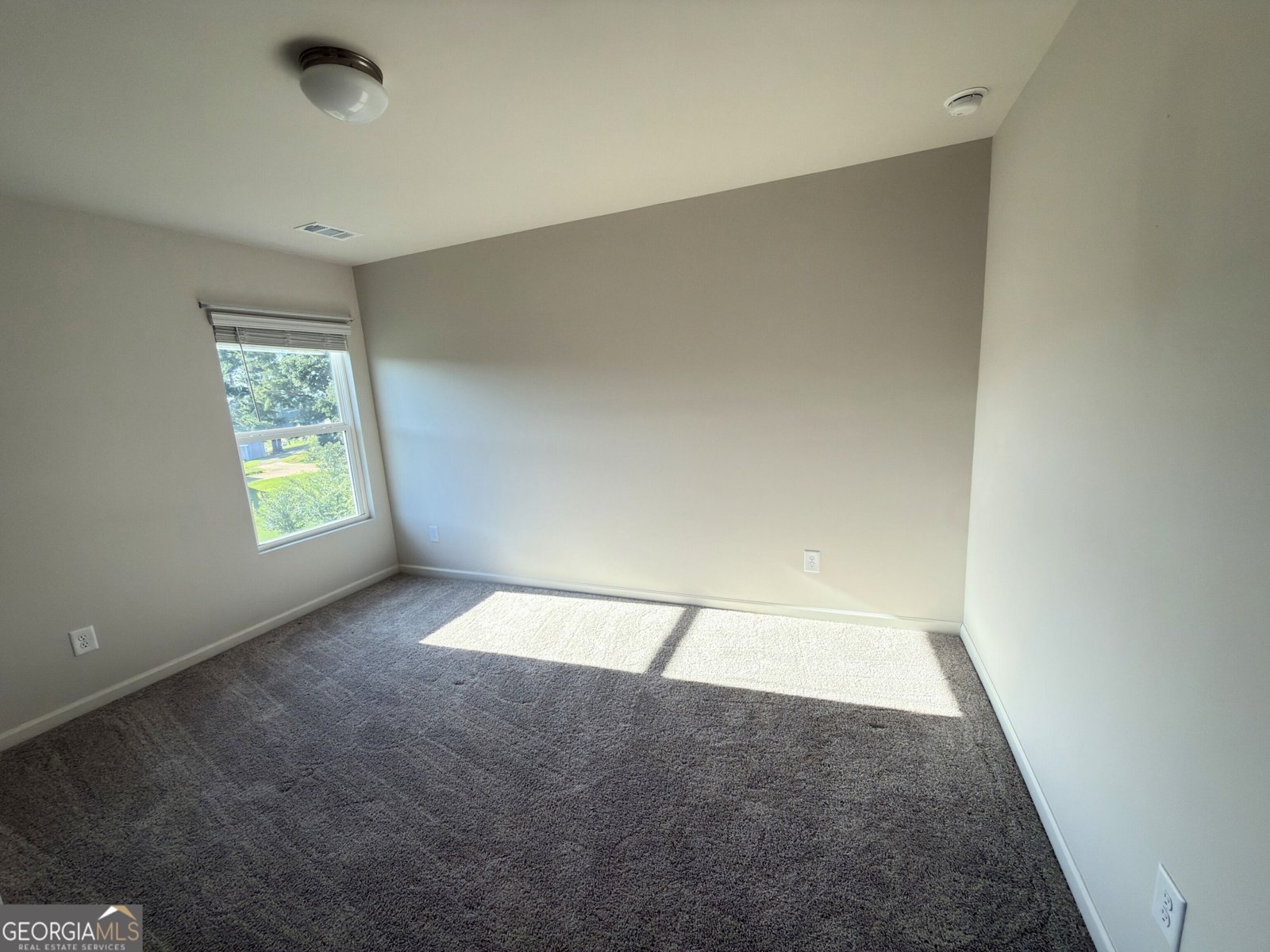 24 Berry Drive Dawsonville - Photo 33