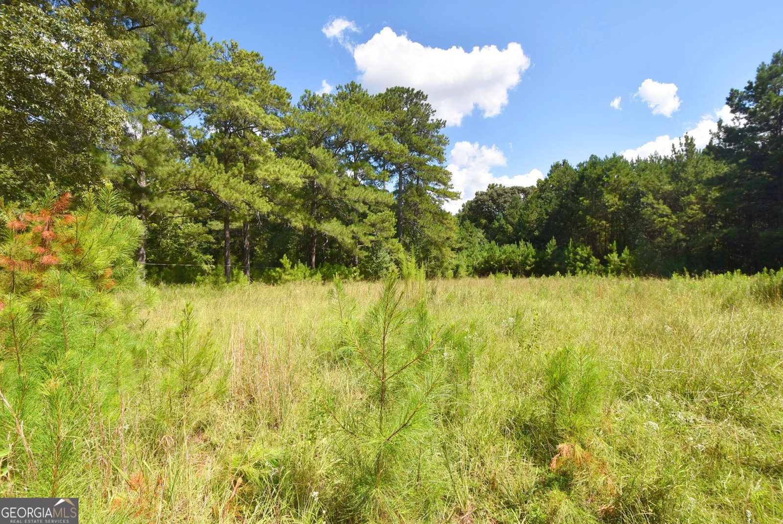 269 Dorsey Road Hampton - Photo 48