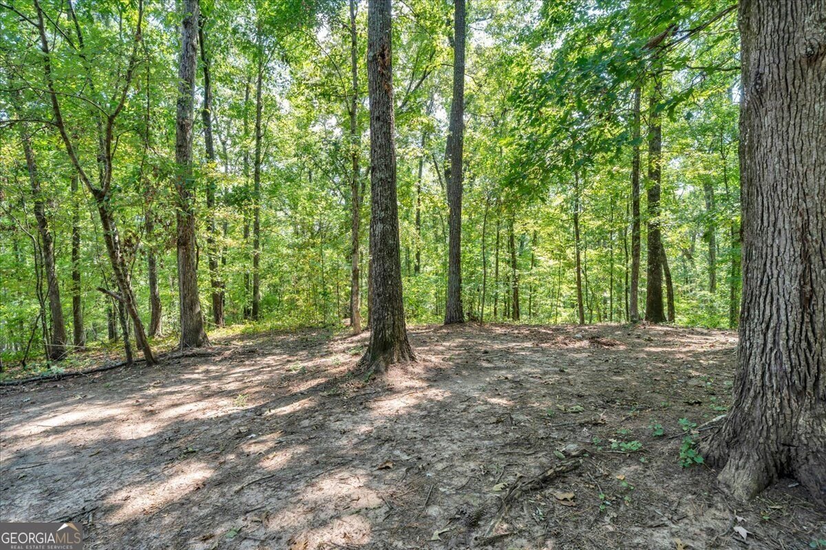 531 Starling Drive Monticello - Photo 65