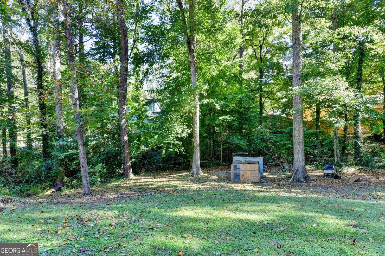 236 Hazel Street Lithia Springs - Photo 62