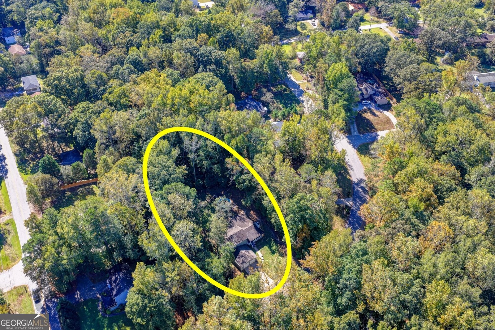 236 Hazel Street Lithia Springs - Photo 68