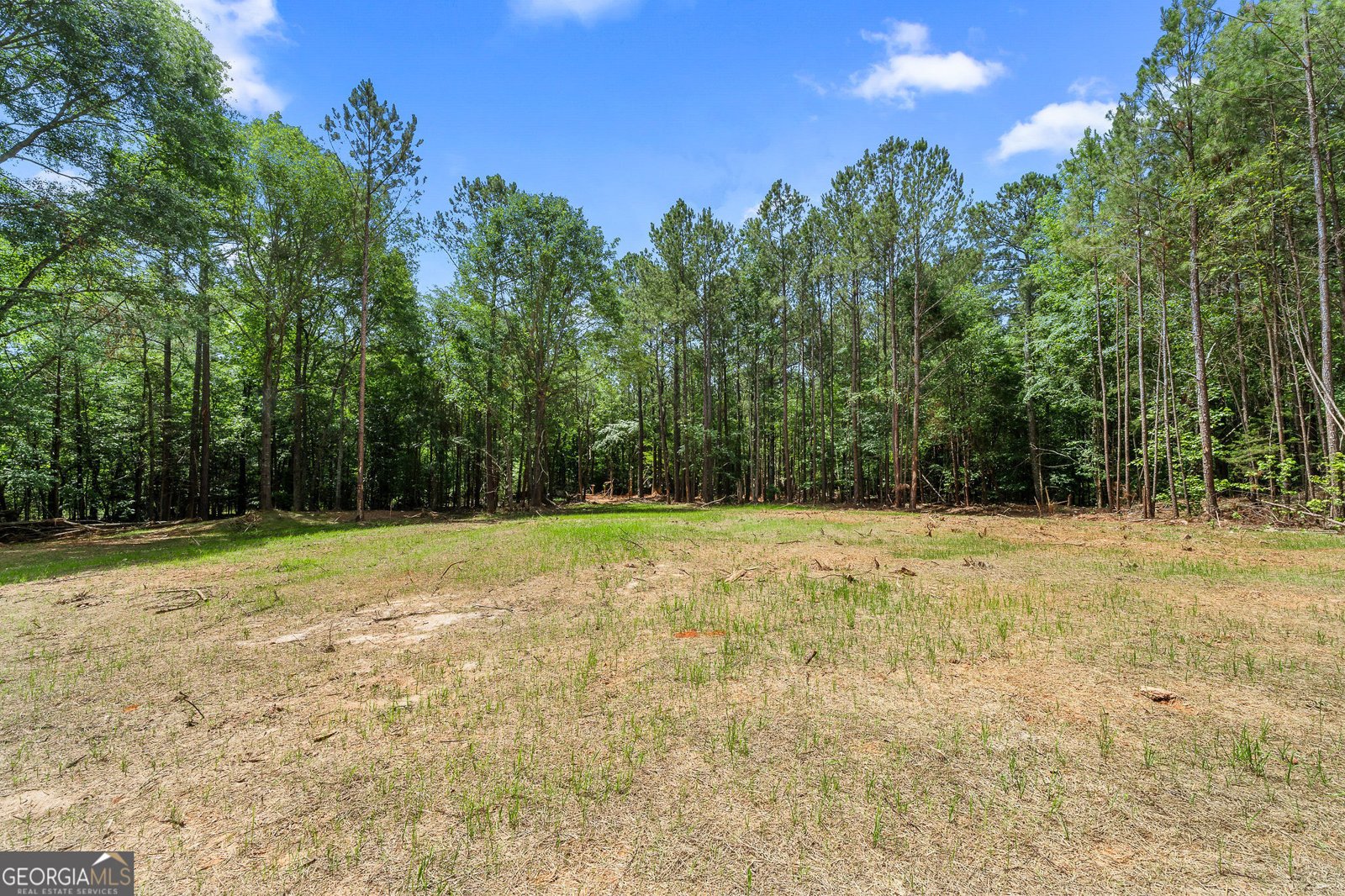 1617 Sweet City Road Elberton - Photo 22