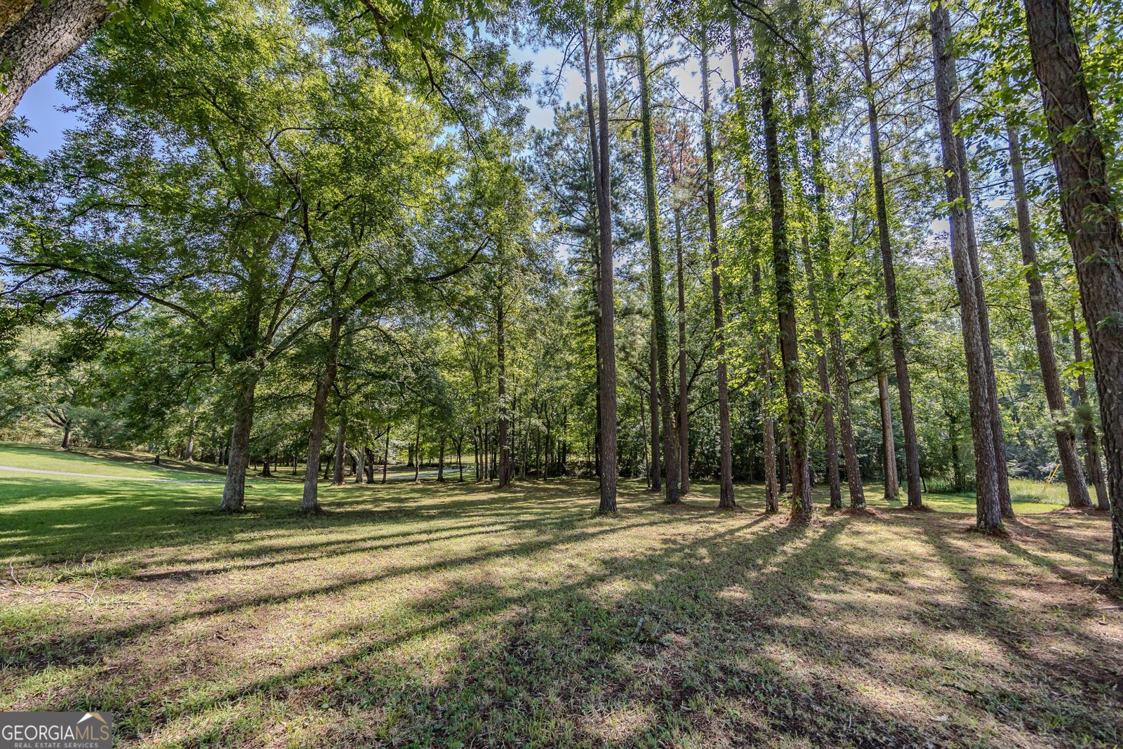344 Horace Veal Road Milledgeville - Photo 125