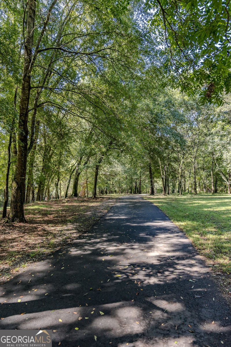344 Horace Veal Road Milledgeville - Photo 133