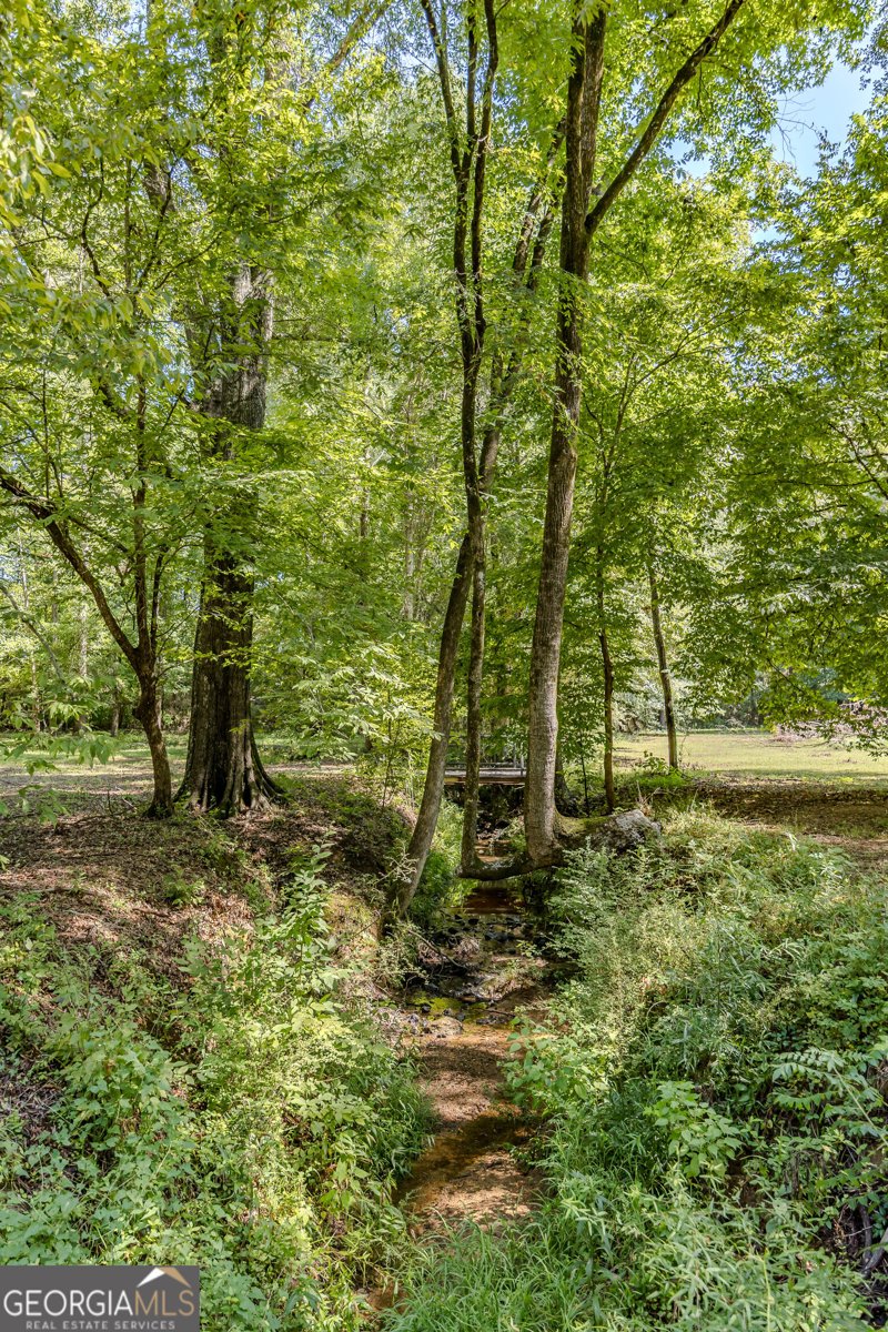 344 Horace Veal Road Milledgeville - Photo 134
