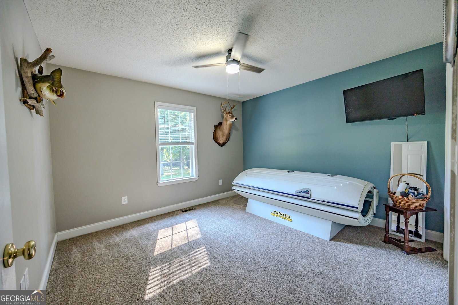344 Horace Veal Road Milledgeville - Photo 44