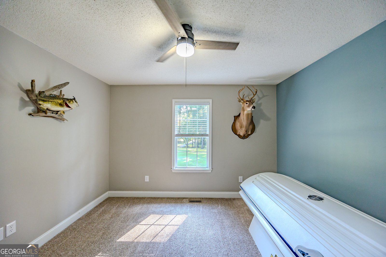 344 Horace Veal Road Milledgeville - Photo 45