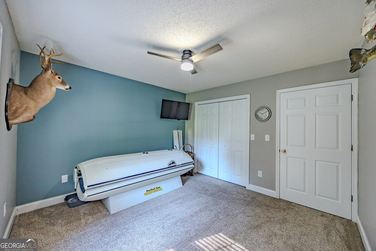 344 Horace Veal Road Milledgeville - Photo 46