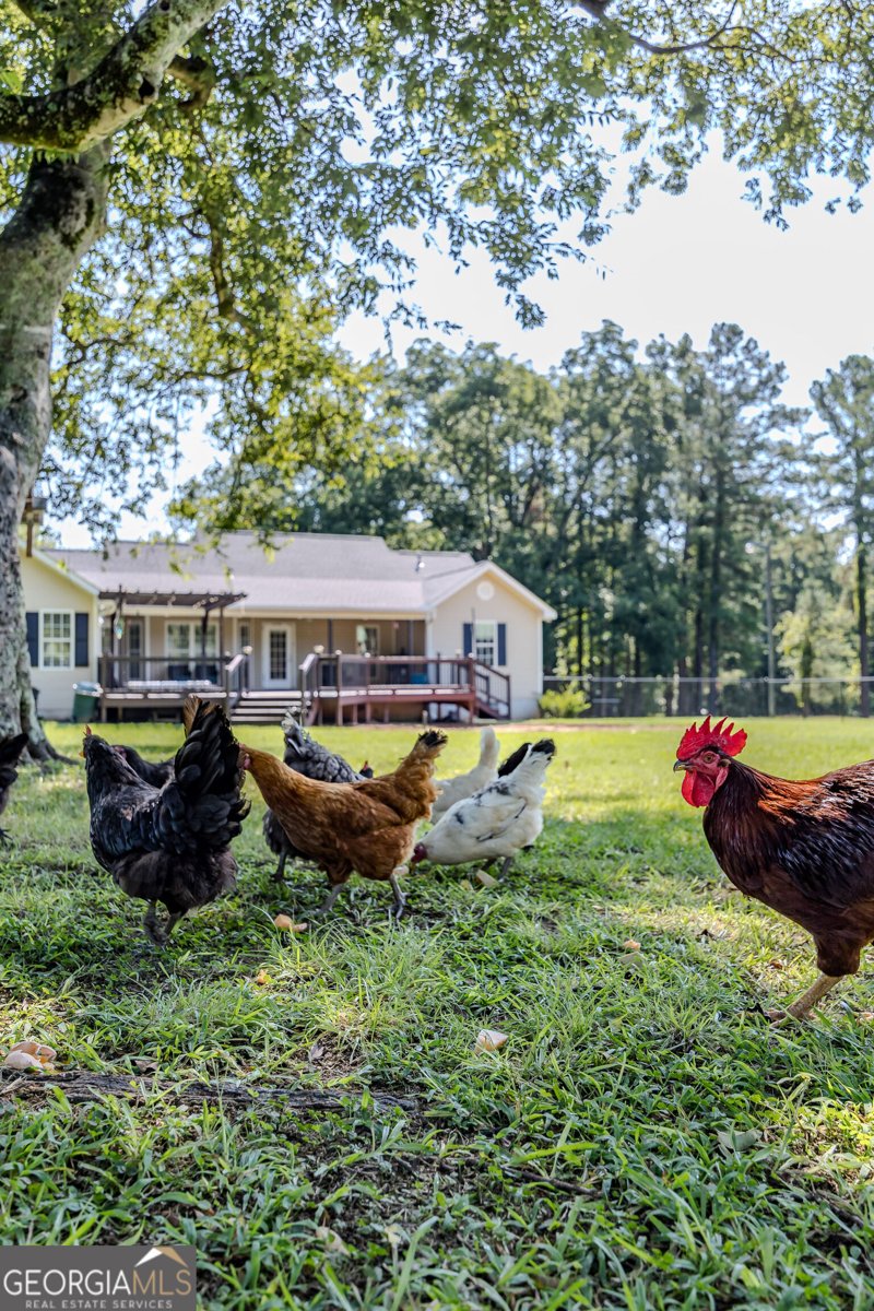 344 Horace Veal Road Milledgeville - Photo 75
