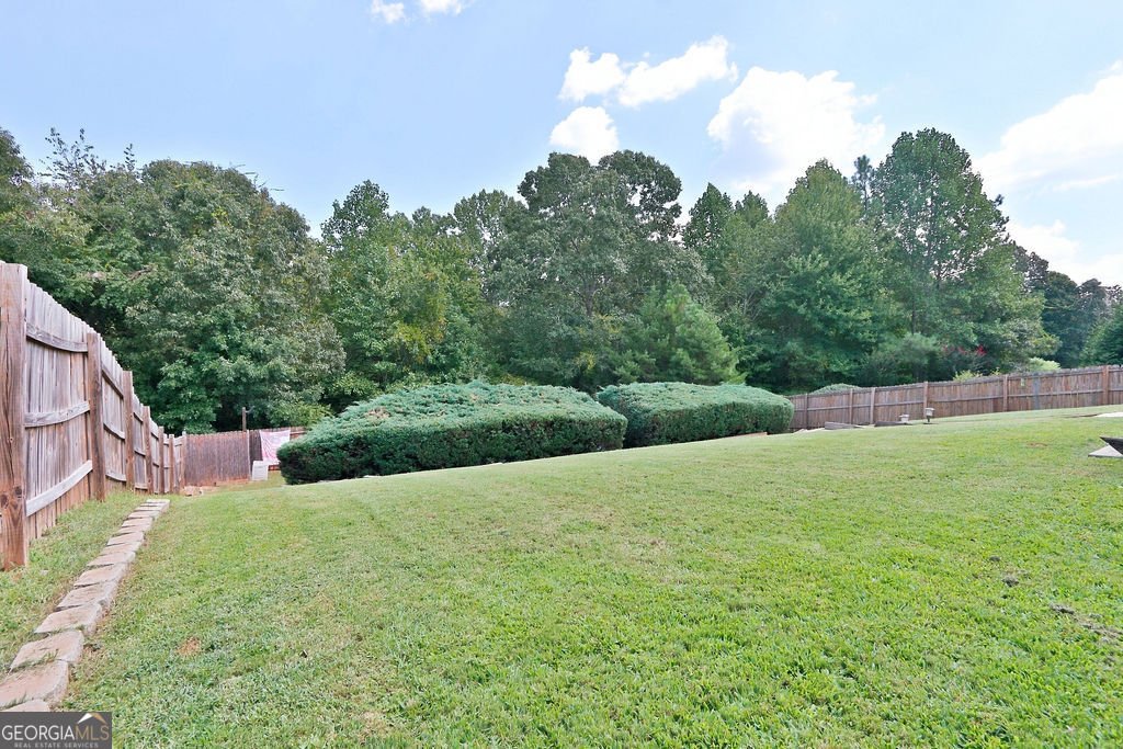 5538 Mulberry Preserve Drive Flowery Branch - Photo 51