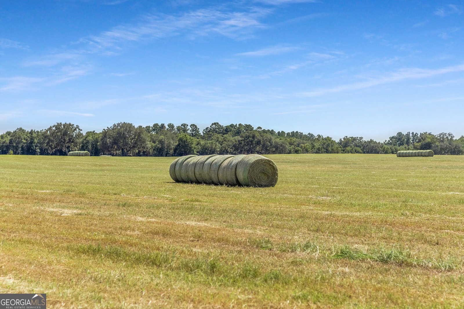 1110 Us Highway 280 Reidsville - Photo 36