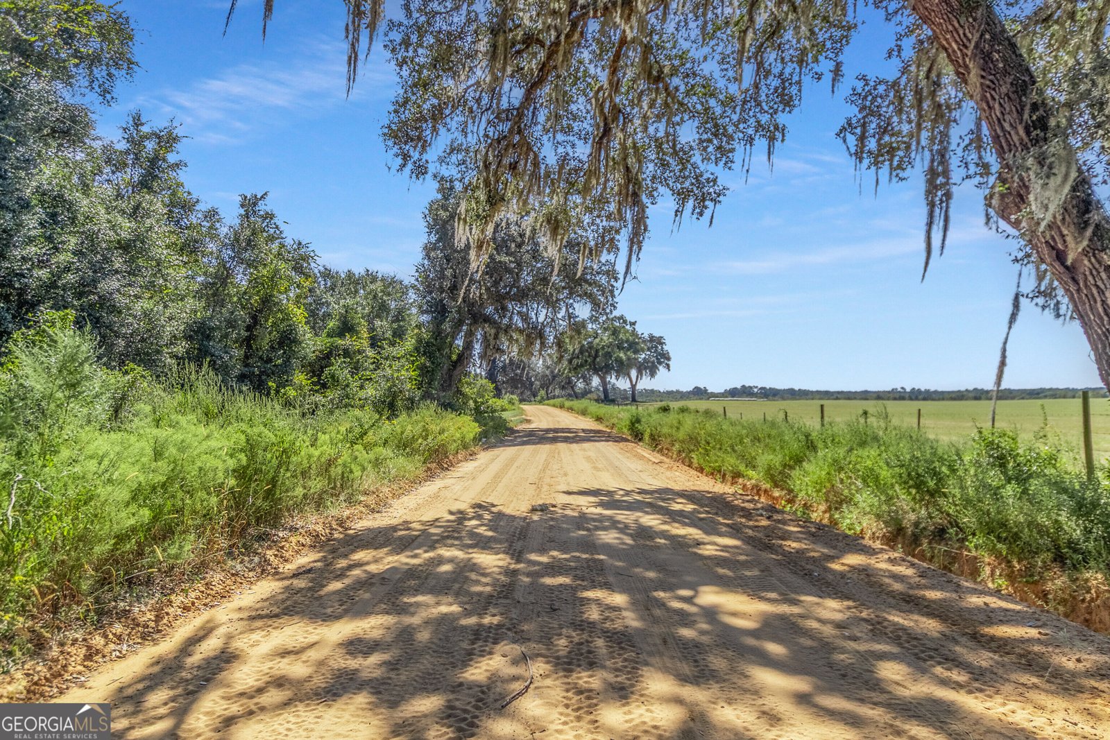 1110 Us Highway 280 Reidsville - Photo 37