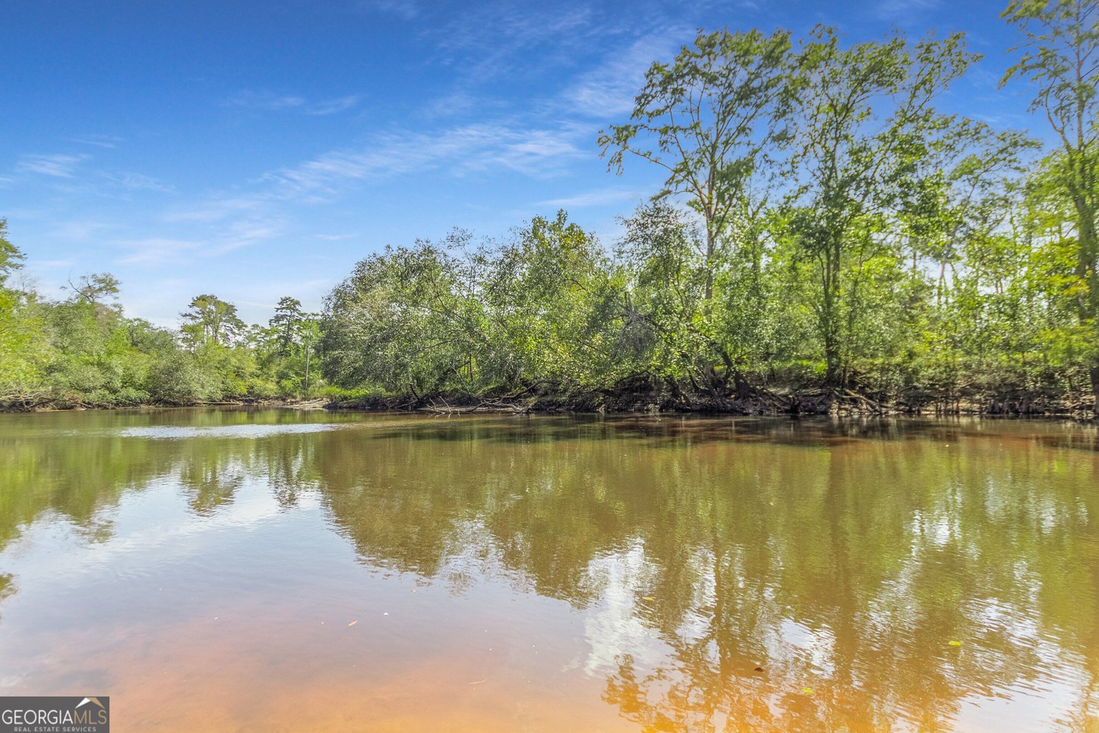 1110 Us Highway 280 Reidsville - Photo 40