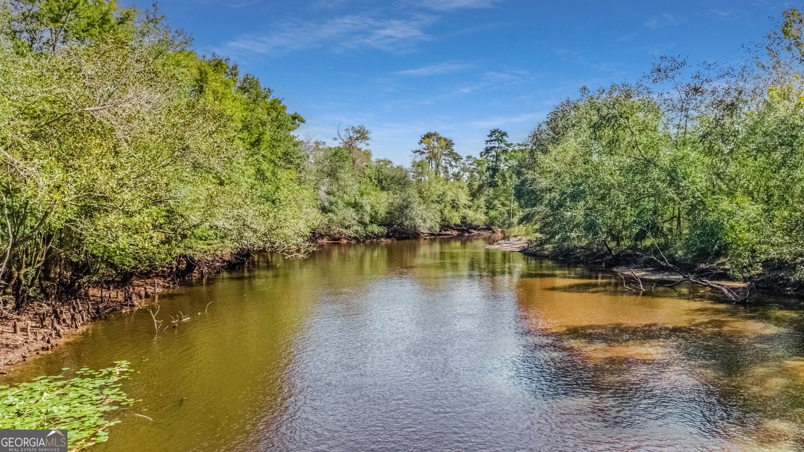 1110 Us Highway 280 Reidsville - Photo 41