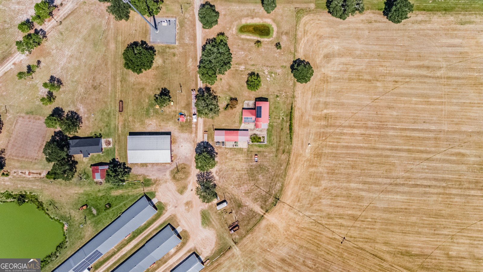 1110 Us Highway 280 Reidsville - Photo 56