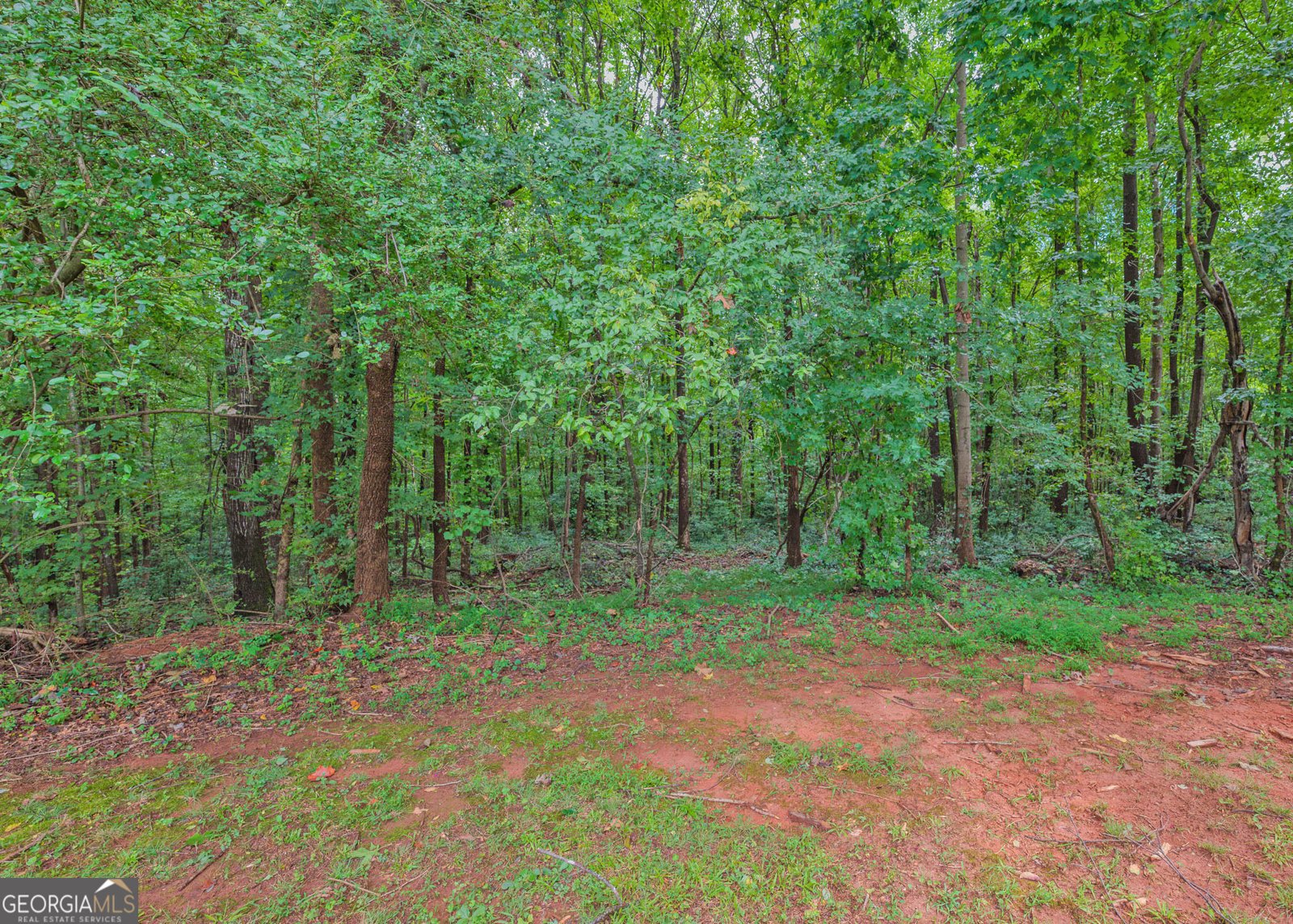1524 Welcome Home Road Mount Airy - Photo 36