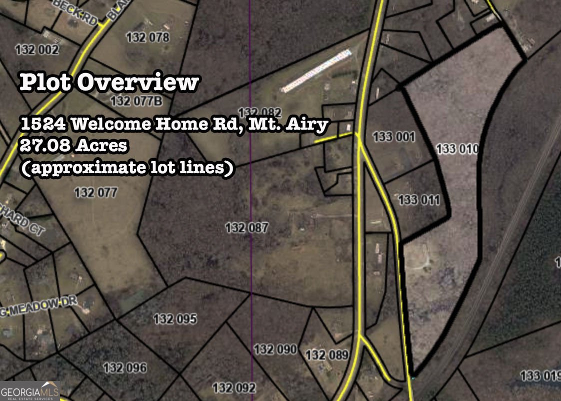 1524 Welcome Home Road Mount Airy - Photo 42
