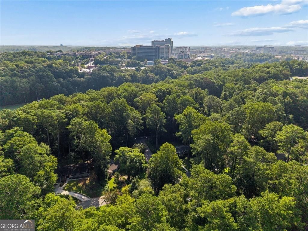 774 Briar Park Court Atlanta - Photo 40