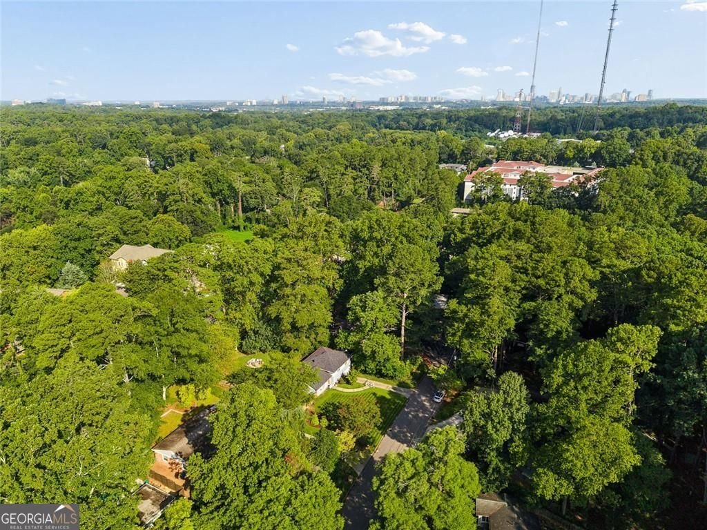 774 Briar Park Court Atlanta - Photo 43