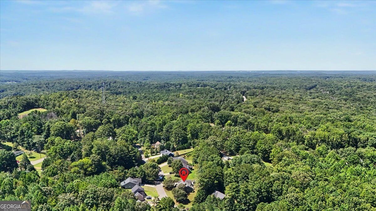 115 Temperence Way Hiram - Photo 37
