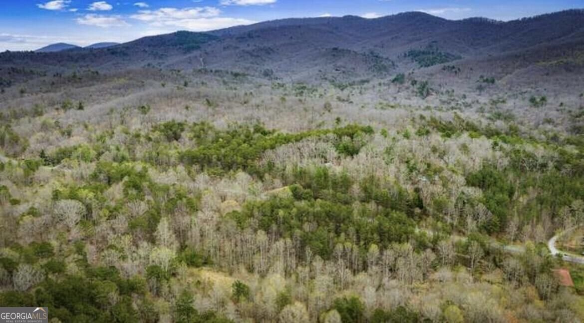 10042 Doublehead Gap Road Blue Ridge - Photo 10