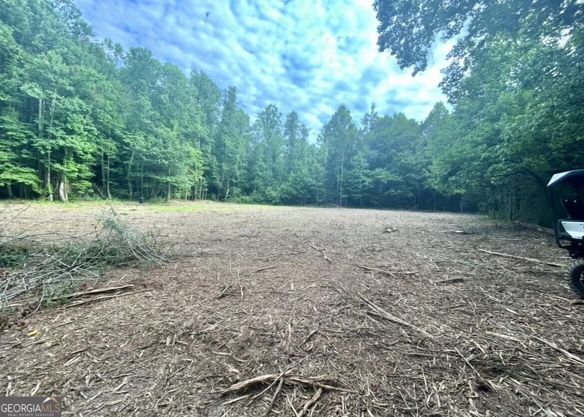 10042 Doublehead Gap Road Blue Ridge - Photo 12