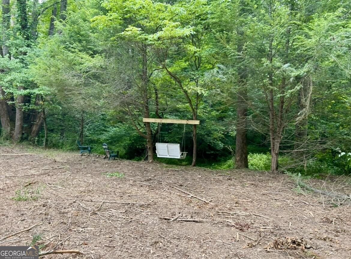 10042 Doublehead Gap Road Blue Ridge - Photo 16