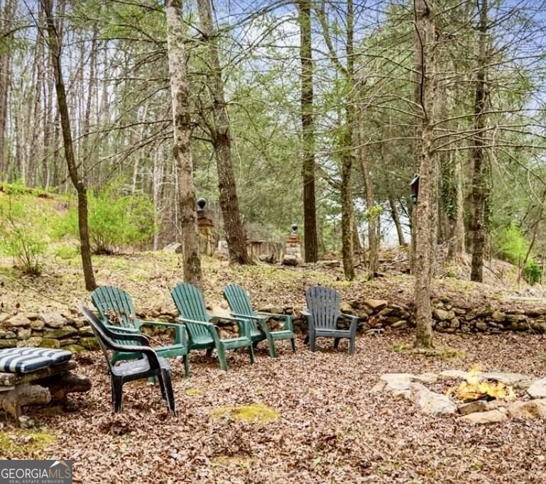 10042 Doublehead Gap Road Blue Ridge - Photo 19