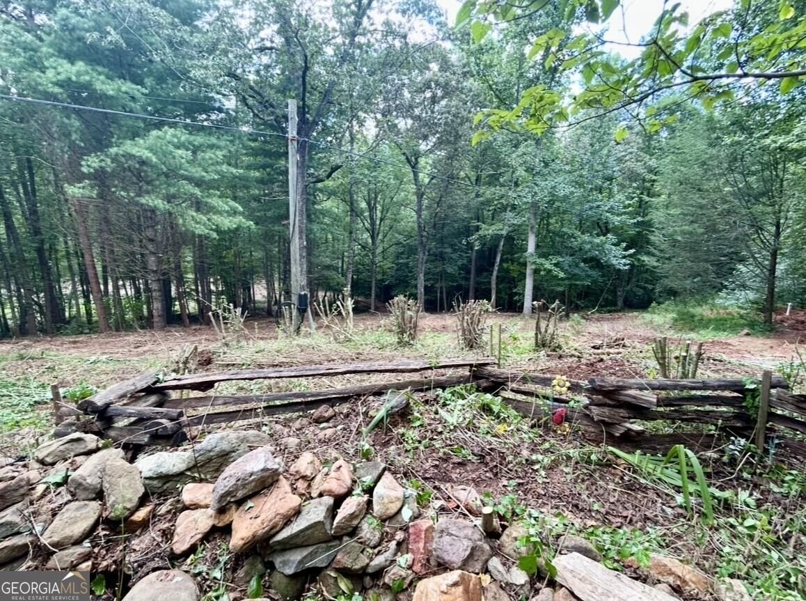 10042 Doublehead Gap Road Blue Ridge - Photo 29