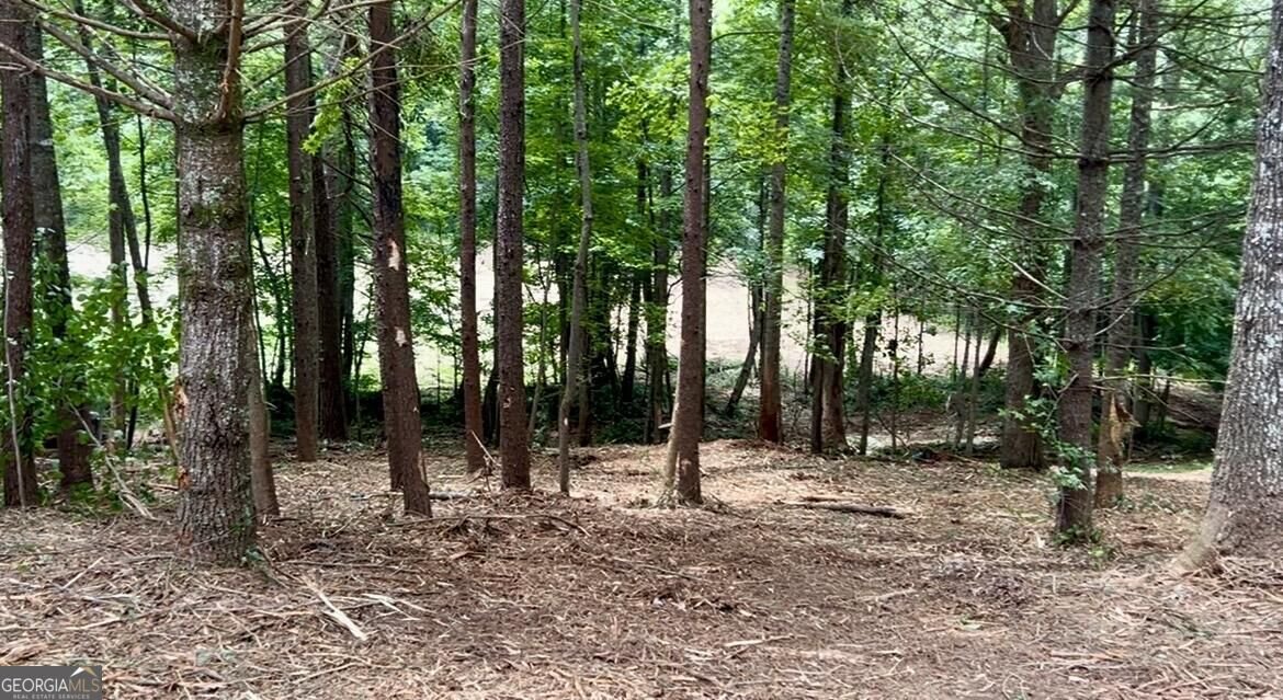 10042 Doublehead Gap Road Blue Ridge - Photo 30