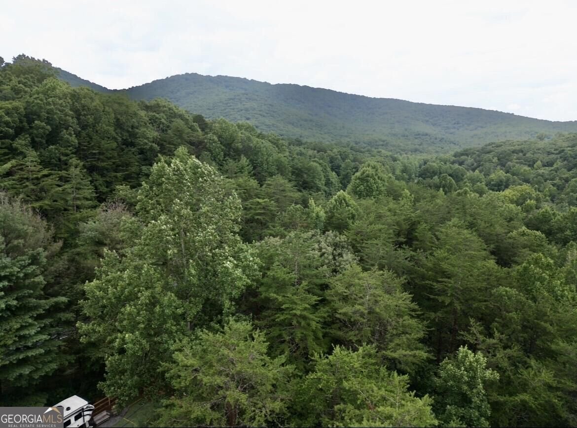 10042 Doublehead Gap Road Blue Ridge - Photo 31